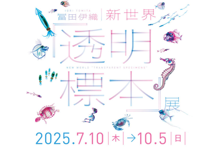 特別展 「冨田伊織 新世界『透明標本』展」案内サムネイル