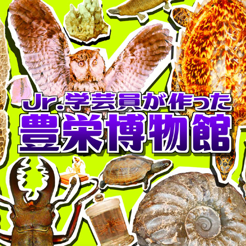 Jr.学芸員が作った豊栄博物館イベントタイトル