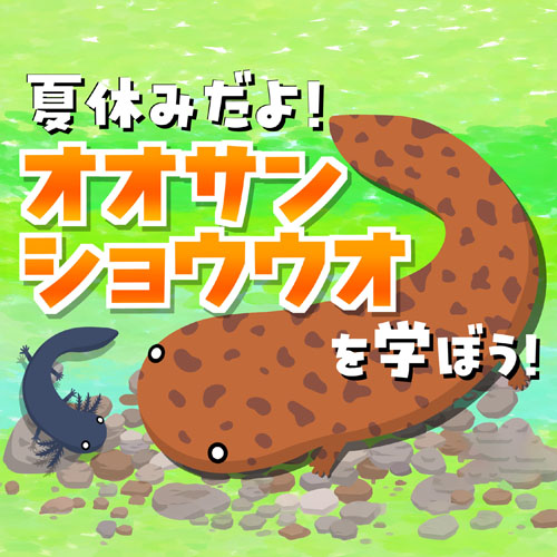 夏休みだよ！オオサンショウウオを学ぼう！イベントタイトル
